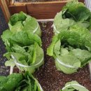 기로(여)경로당 이미지