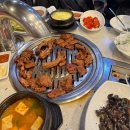 세종대왕숯불갈비 | [보라매역 맛집][내 돈 내산] 세종대왕 숯불갈비🍖 - 입에서 살살 녹는 돼지갈비와 인사하는 앵무새까지!🦜