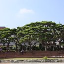 솔빛공원 1 이미지