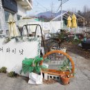 슈어와이낫 이미지