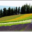 푸른농장2 이미지