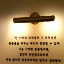 페츠비동물병원 이미지