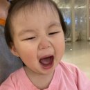 온양온천랜드 이미지