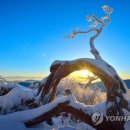 태백산 천제단 이미지