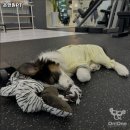 온앤원컨설팅 | 대전광역시 서구 헬스장 온앤원PT 내용가격운영시간주차리뷰 알아보기