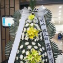 대전동부요양병원 네이버블로그