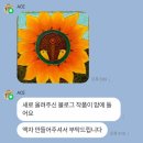해바라기그림 작품 ‘새의 찬미’ 설치 후기 – 컬렉터의 집