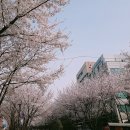 라꾸르 이미지