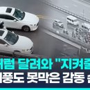 [영상] 빨갱이들도 보수들 처럼 이웃을 사랑합니다 이미지