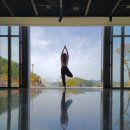 한화리조트거제벨버디어 수영장 이미지