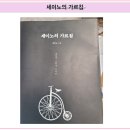 자본주의 사회에서 부자가 되려면 현생(현업)부터 최선을 다해야 한다 - 세이노의 가르침 리뷰 1