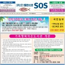 예은결혼정보 이미지