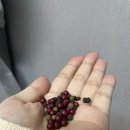 태영당한의원 이미지