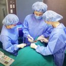 연세모먼트치과병원 이미지