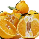 심정농장 이미지