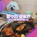 양수리갈비연