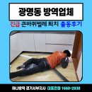 광명동 방역업체 긴급 큰바퀴벌레퇴치 출동후기