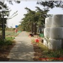 7번국도 동해대로(현북면) 이미지