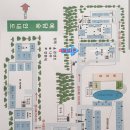 예담숲 | 예담숲 캠핑장 파쇄석 1존 / 단체캠 / 대형 야외 수영장 이용 후기