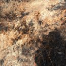 청도마을회관 이미지