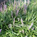 보양제약 이미지