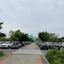 여름골프의 최대복병 : 드림파크CC 라운드 후기