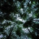 대나무골 이미지