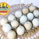 구구축산농원 이미지