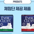 크린에버 이미지