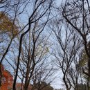 철탑민박 이미지