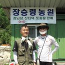 효죽천 월간산