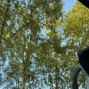 궁전여관 | DAY 3) 지베르니 모네 정원/고흐 마을 오베르쉬르우아즈/고흐의 방/베르사유 궁전, 정원/모노프/케이마트