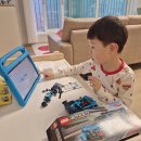 주식회사 명성골드자동차 | 의정부 의정부동 롯데캐슬골드파크 1단지 30평형 블랙스텐방충망 교체 시공