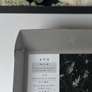 송아숲 - 12919 | 송아숲