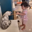 야옹아놀자(동성로점) | [동성로 아이와 실내데이트/야옹아놀자 캣카페]내돈내산 여름방학이벤트(8/31일까지) 입장료만원👍