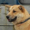 칠전농장 이미지