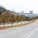 호랑가시나무민박 이미지