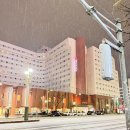 레이관광호텔 | 🏨 삿포로 도큐 레이 호텔 후기 📌 스스키노 맛집·관광에 딱 좋은 위치