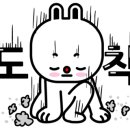 선흘아이 네이버블로그