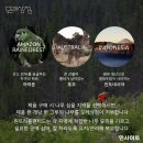 나무상점 이미지