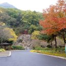큰골조경