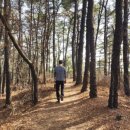 장지약수터 이미지