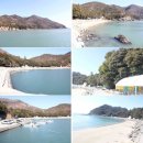 완도군약산면해동보건진료소 | 완도 앞바다는 물 반 전복 반이더이다!(33)-약산도와 고금도