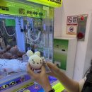 뽑기언냐 이미지