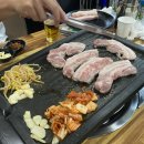 만리포똥돼지 이미지