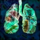 더 바른병원 이미지