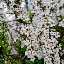 운현유치원 이미지