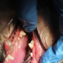 신현동물병원 이미지