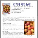강가네농장 이미지