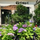 카페쿠시 이미지